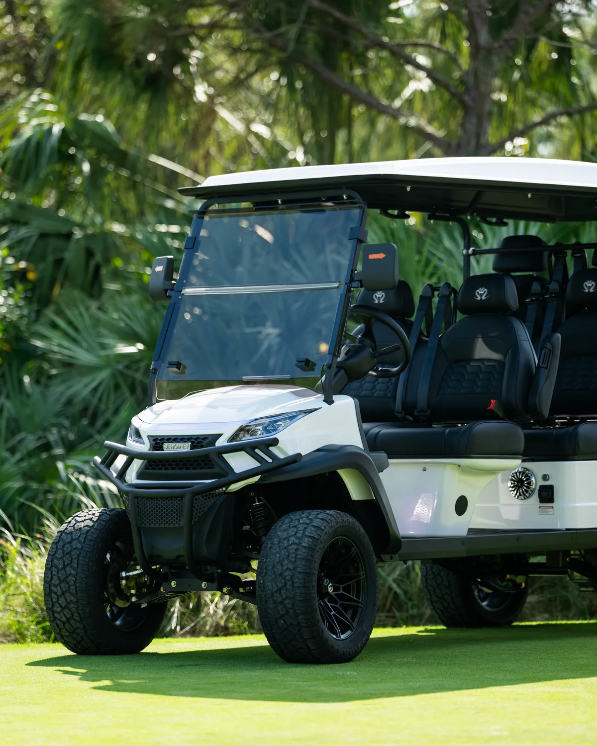 Official Venom EV golf cart in black, side profile by the pier
